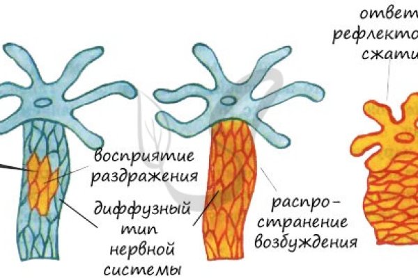 Кракен через браузер