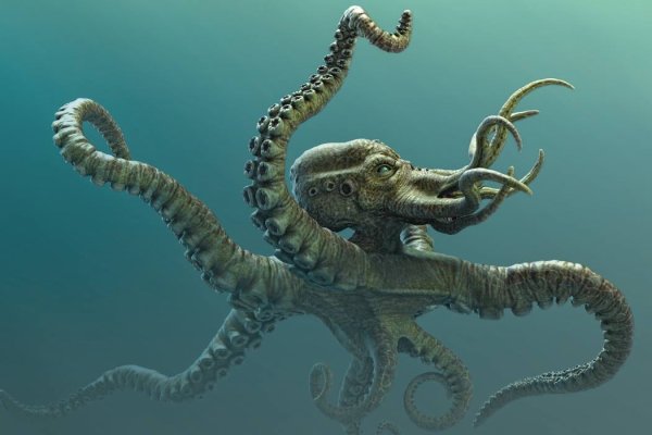 Kraken 19at